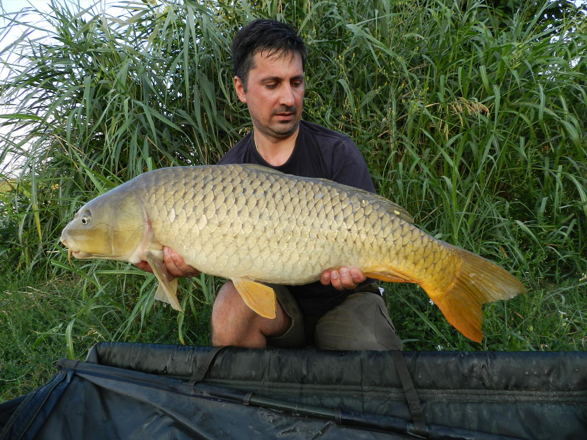 2015/iulie capturi - dscn4008.JPG